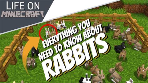 What attracts rabbits in minecraft  r/Minecraft • r/Minecraft •